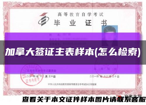 加拿大签证主表样本(怎么检索)缩略图