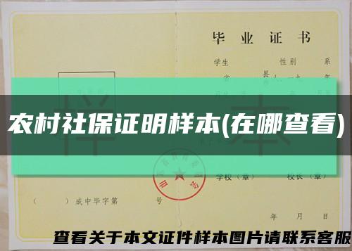 农村社保证明样本(在哪查看)缩略图