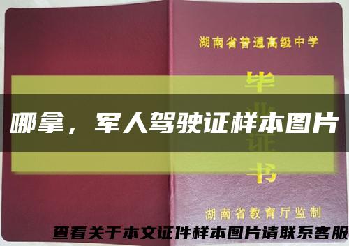 哪拿，军人驾驶证样本图片缩略图