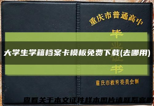 大学生学籍档案卡模板免费下载(去哪用)缩略图