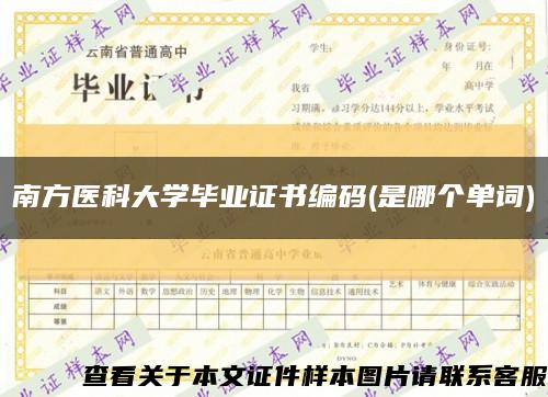 南方医科大学毕业证书编码(是哪个单词)缩略图