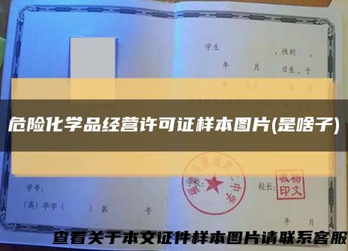 危险化学品经营许可证样本图片(是啥子)缩略图