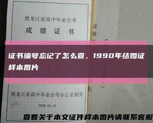 证书编号忘记了怎么查，1990年结婚证样本图片缩略图