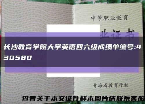 长沙教育学院大学英语四六级成绩单编号:430580缩略图