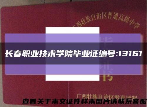 长春职业技术学院毕业证编号:13161缩略图