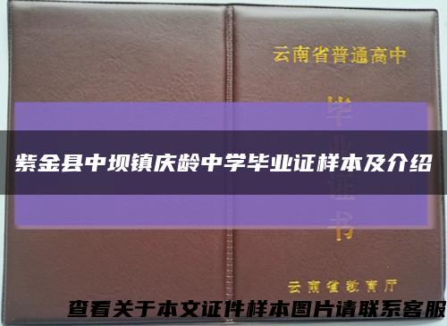 紫金县中坝镇庆龄中学毕业证样本及介绍缩略图