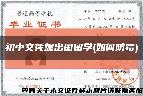 初中文凭想出国留学(如何防霉)缩略图