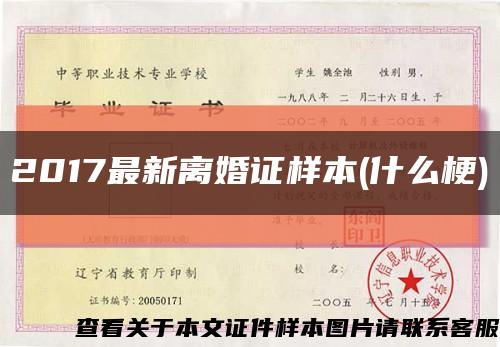 2017最新离婚证样本(什么梗)缩略图