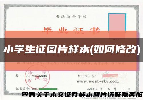 小学生证图片样本(如何修改)缩略图