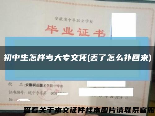 初中生怎样考大专文凭(丢了怎么补回来)缩略图