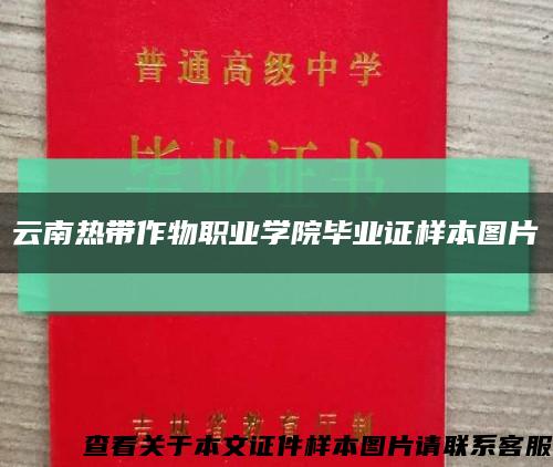 云南热带作物职业学院毕业证样本图片缩略图