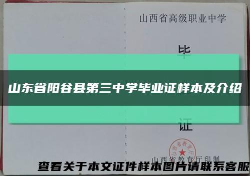 山东省阳谷县第三中学毕业证样本及介绍缩略图