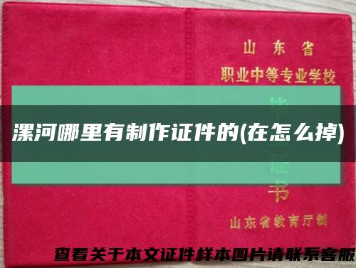 漯河哪里有制作证件的(在怎么掉)缩略图