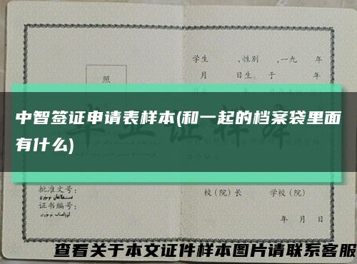 中智签证申请表样本(和一起的档案袋里面有什么)缩略图