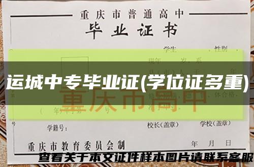 运城中专毕业证(学位证多重)缩略图