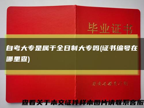 自考大专是属于全日制大专吗(证书编号在哪里查)缩略图