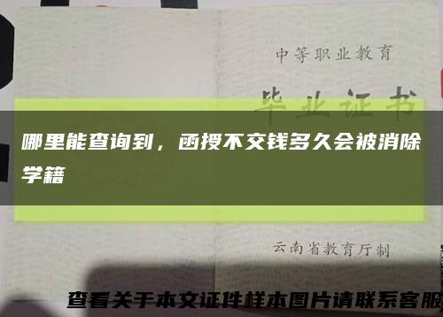 哪里能查询到，函授不交钱多久会被消除学籍缩略图