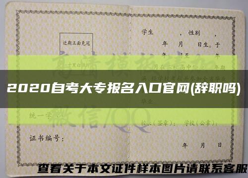 2020自考大专报名入口官网(辞职吗)缩略图