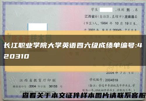 长江职业学院大学英语四六级成绩单编号:420310缩略图