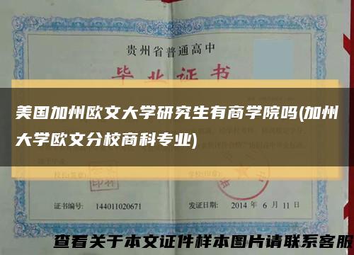 美国加州欧文大学研究生有商学院吗(加州大学欧文分校商科专业)缩略图