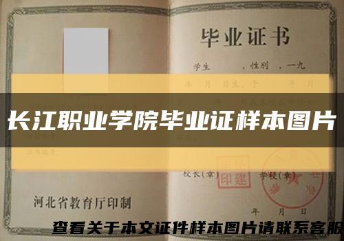 长江职业学院毕业证样本图片缩略图