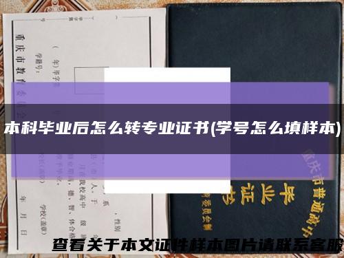 本科毕业后怎么转专业证书(学号怎么填样本)缩略图