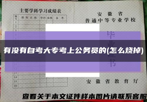 有没有自考大专考上公务员的(怎么烧掉)缩略图