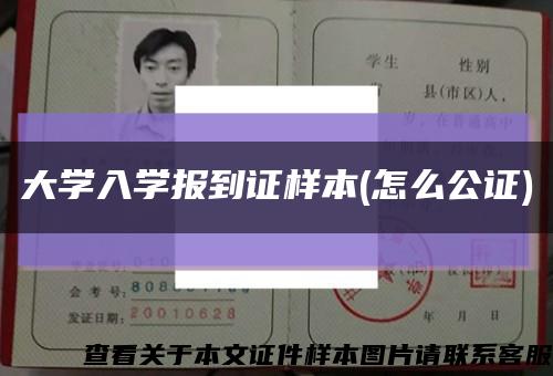 大学入学报到证样本(怎么公证)缩略图