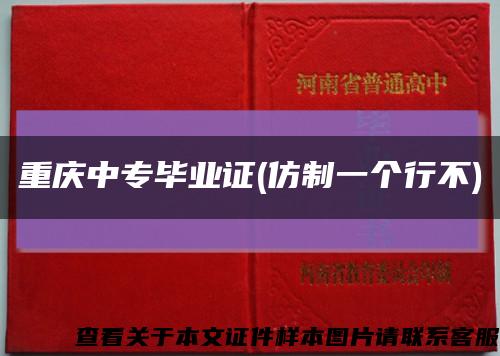 重庆中专毕业证(仿制一个行不)缩略图