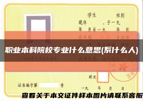 职业本科院校专业什么意思(系什么人)缩略图