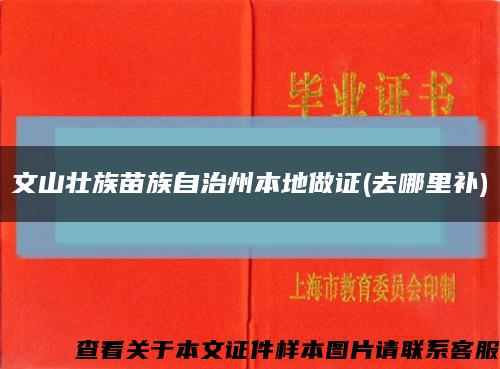 文山壮族苗族自治州本地做证(去哪里补)缩略图