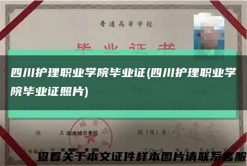 四川护理职业学院毕业证(四川护理职业学院毕业证照片)缩略图