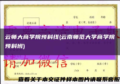 云师大商学院预科线(云南师范大学商学院预科班)缩略图