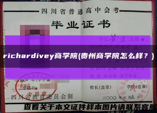 richardivey商学院(贵州商学院怎么样？)缩略图