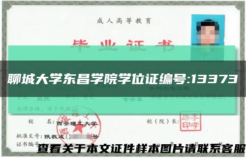 聊城大学东昌学院学位证编号:13373缩略图