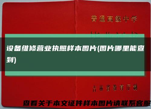 设备维修营业执照样本图片(图片哪里能查到)缩略图