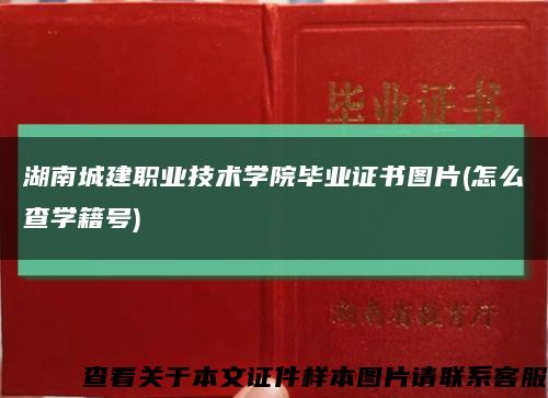 湖南城建职业技术学院毕业证书图片(怎么查学籍号)缩略图