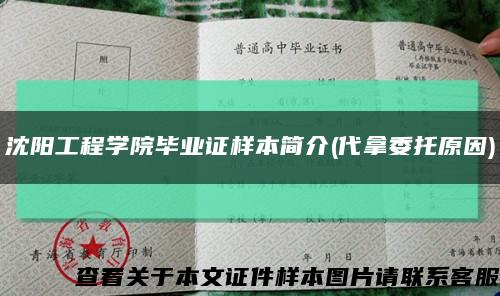 沈阳工程学院毕业证样本简介(代拿委托原因)缩略图