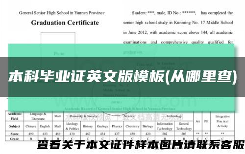 本科毕业证英文版模板(从哪里查)缩略图