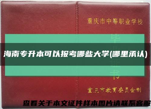 海南专升本可以报考哪些大学(哪里承认)缩略图