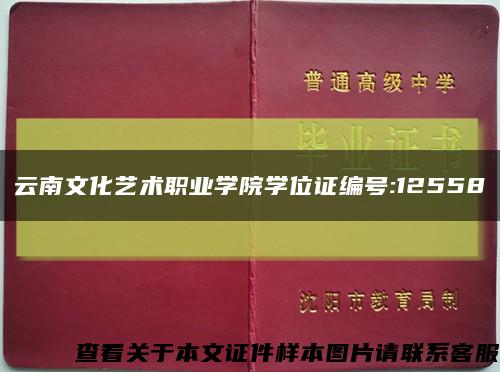 云南文化艺术职业学院学位证编号:12558缩略图