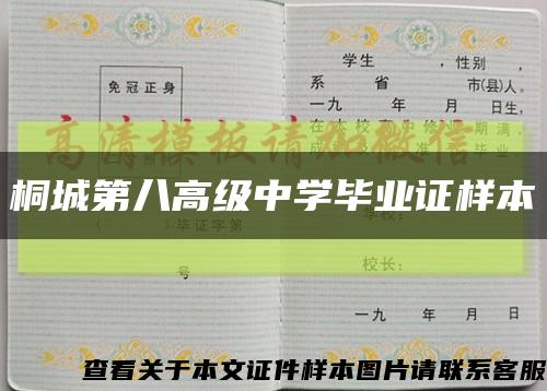 桐城第八高级中学毕业证样本缩略图