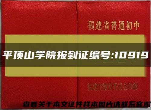 平顶山学院报到证编号:10919缩略图