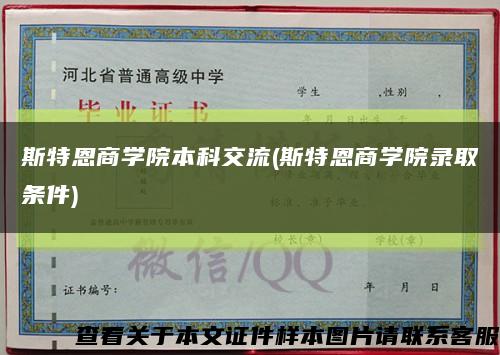 斯特恩商学院本科交流(斯特恩商学院录取条件)缩略图