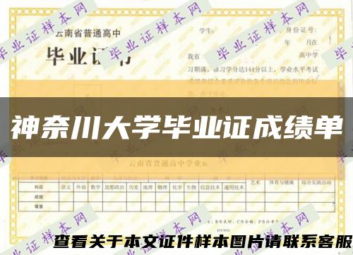 神奈川大学毕业证成绩单缩略图