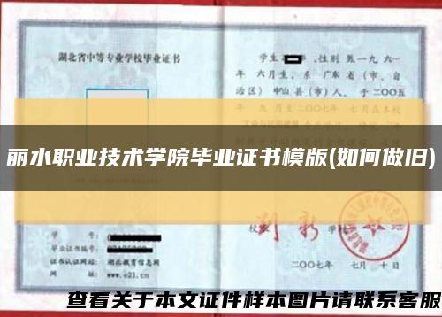 丽水职业技术学院毕业证书模版(如何做旧)缩略图