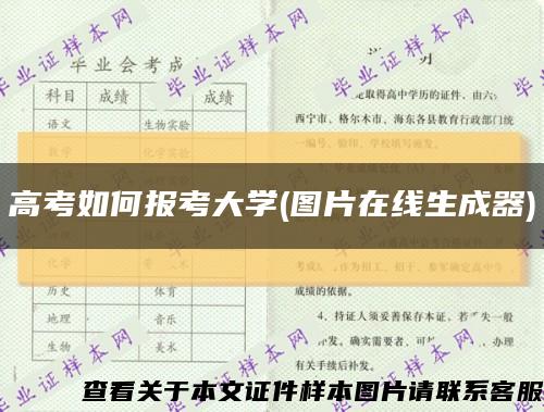 高考如何报考大学(图片在线生成器)缩略图