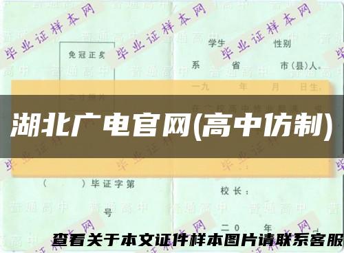 湖北广电官网(高中仿制)缩略图