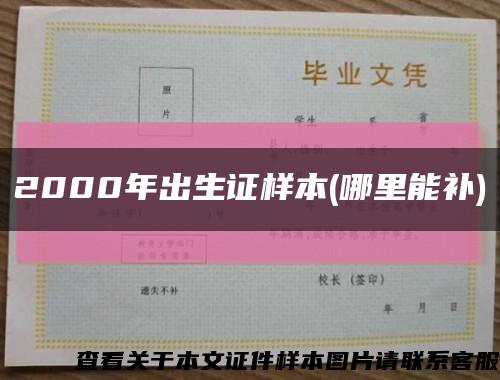 2000年出生证样本(哪里能补)缩略图