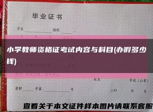 小学教师资格证考试内容与科目(办假多少钱)缩略图